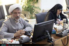 نشست شورای علمی اندیشکده تحکیم انسجام اجتماعی جهاددانشگاهی